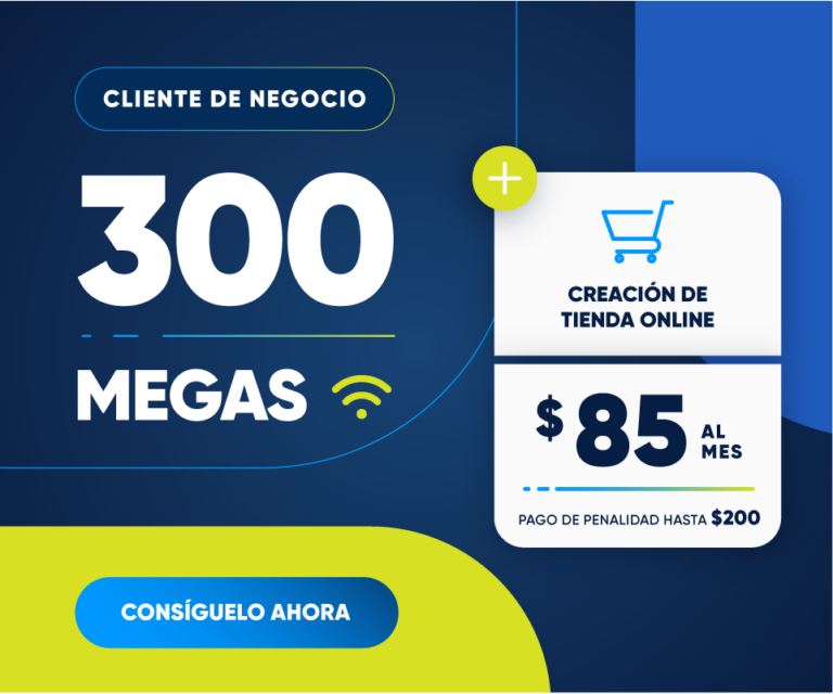 300 Megas + Creación de Tienda Online